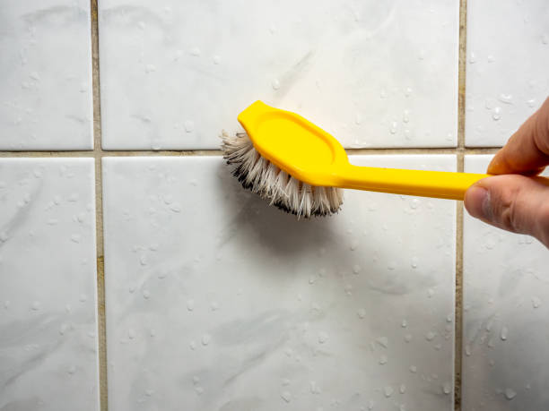 Best Mold Removal Process  in Key Center, WA