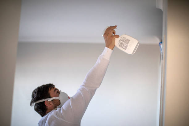 Certified Mold Removal in Key Center, WA
