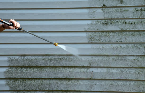 Best Office Mold Removal Services  in Key Center, WA