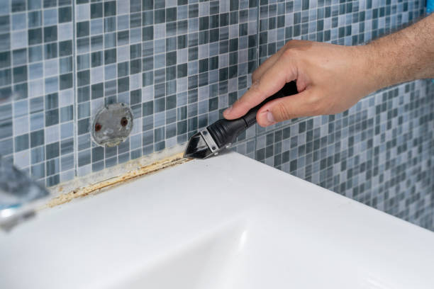 Reliable Key Center, WA Mold Removal Solutions