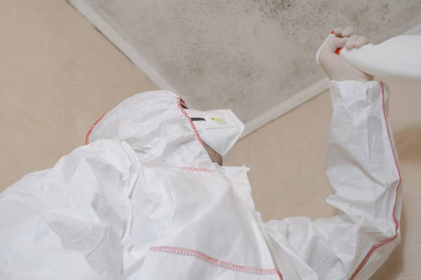 Best Emergency Mold Removal  in Key Center, WA